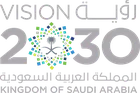 رؤية السعودية 2030